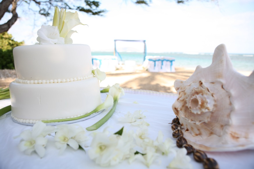 conch shell with a all white weding cake